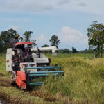 Sri Lanka Eases QR Restrictions to Support Agricultural Sector