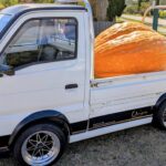 Washington State Shatters Record for Largest Pumpkin Ever Grown