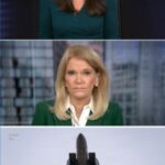 VIDEO: Rescuer Retrieves Survivor from Crashed Aircraft in Iran