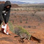 Youthful Aboriginal rangers focus on feral species, biosecurity, and career development.