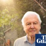 This evening: A captivating new series from David Attenborough premieres ahead of his centenary celebration.