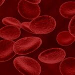 Research Reveals Possible Explanation for Lower Diabetes Rates in High-Altitude Areas