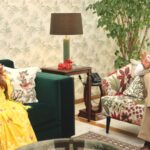 Delhi Chief Minister Engages with Lieutenant Governor to Strategize on Power Supply and Seasonal Action Plans, Including PNG Network Expansion