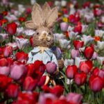 ABC Quiz Challenge: Can You Identify Our Global Location?