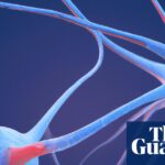 Researchers uncover distinct neural patterns associated with psychedelic substances in the brain.