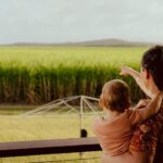 Agricultural Advocates Seek Enhanced Safeguards in Renewable Energy Legislation