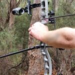 Police report significant arrow discharge in suburban area following theft at archery club.