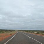 Inquiry launched into woman’s mysterious death following incident involving kangaroo and vehicle