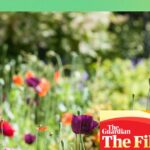 Cultivate and Flourish: 15 Strategies to Prepare Your Garden for Spring and Summer