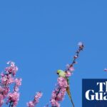 A perched parakeet and a posing squirrel: Highlights from our readers’ stunning photography collection