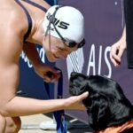 The intriguing presence of dogs at the Australian Open swimming championships: Here’s why they’re on the pool deck.