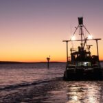 South Australia’s harmful algal bloom not responsible for mass tuna fatalities