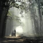 Himachal Pradesh Earns ₹77 Lakhs from Great Himalayan National Park and Eco-Tourism Attractions Over Three Years, Reports Sukhu