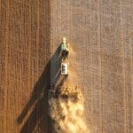 In the face of extraordinary challenges, farmers venture into bold territory with early winter crop planting.