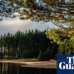 “Discovering the Untamed Beauty of Kielder Forest: A Unique Wilderness Experience in Northumberland”