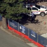 Ancient Human Remains Discovered on Rottnest Island Amidst Bus Stop Renovation