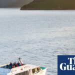 A Captivating Experience for Travelers in New Zealand: Exploring the Scenic Route of Boat-Based Mail Delivery