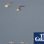 Financial Markets React Positively to Iran Ceasefire, Yet Uncertainty Remains | Richard Partington