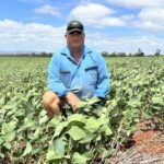 Exploring the True Origins of ‘Australian Made’ Products: Are They Really Local?