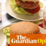 Transforming Fish into a Meat Alternative: Strategies to Encourage American Consumption | Arwa Mahdawi