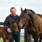 Owner Affirms $10 Million Racehorse’s Value Despite Her Never Competing on Track