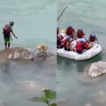 Incredible Rescuers Navigate Ganga’s Swells to Save Dog Trapped on a Rock