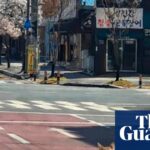 Massive search launched for runaway wolf from South Korean zoo