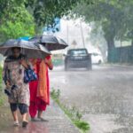 New Field Assessment Reveals Wheat Loss Exceeds 125,000 Acres