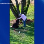 VIDEO: Canine Companion Assists Grandmother in the Garden