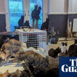 RSPCA Reports Surge in Animal Rescues Linked to Living Costs and Mental Health Challenges