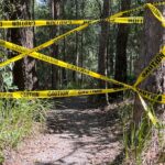 Tragic Loss of Life and Multiple Rescues at Glass House Mountains Raises Urgent Safety Alert