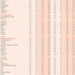 Sri Lanka’s Stock Market Gains Momentum as NDB Introduces Shares from Scrip Dividend