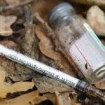 Mother in Punjab mourns the loss of all five sons, questioning if the government can protect her grandchildren.