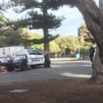 Indigenous Ancestry Uncovered: Bones Discovered on Rottnest Island