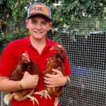 Young Entrepreneur Ditches Screens to Cultivate Passion for Chickens and Build Thriving Egg Venture
