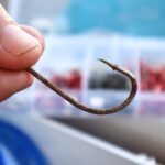 Navigating Fishhook Injuries: Effective Treatment Strategies Explained.