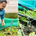 Daily UPSC Essentials Quiz: Test Your Knowledge on Environment and Geography MCQs (Week 157) – Evaluate Your Readiness for Prelims 2026