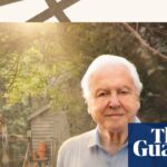 From Hidden Oasis to Resounding Success: This Week’s Highlights in Rave Reviews