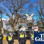 “From Festive Atmosphere to Chaos: How a Dorset Free Rave Escalated into Violence After Police Intervention”