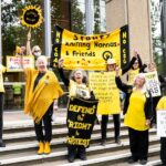 Ditching the Manosphere: Exploring the Nannasphere as a Refreshing Escape from Negativity