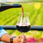 Nashik: The Heart of India’s Wine Aspirations—Will It Endure the Challenges Ahead?