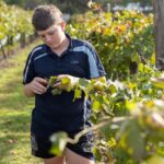 Discover the students mastering mathematics, language arts, and viticulture in their educational journey.