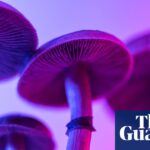 A Curated Collection of the Finest New Works in Science Fiction, Fantasy, and Horror – A Comprehensive Review Summary