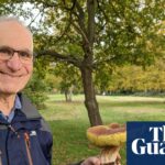 In Memoriam: Celebrating the Life and Legacy of Robin Weiss