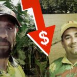 ‘iComply Transforms to ‘iComplain’: Employees Left Financially Stranded Following Labor Hire Firm Collapse’