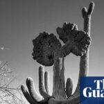 “Joseph Cyr Captures a Stunning Cactus That Appears to Preach”