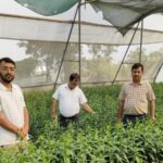 Sonipat Academic Transitions to Agriculture, Achieves Annual Earnings of ₹50 Lakhs with Lily Cultivation