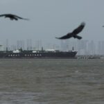 Maritime Encounter Documented: US-Iran Confrontation Captured in the Strait of Hormuz