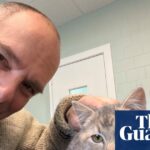 A Heartwarming Rescue: The Unforgettable Journey of Chilly, the Kitten Saved from the Cold