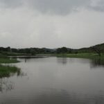 “Exploring India’s Hidden Gems: 10 Short Rivers with Remarkable Impact”